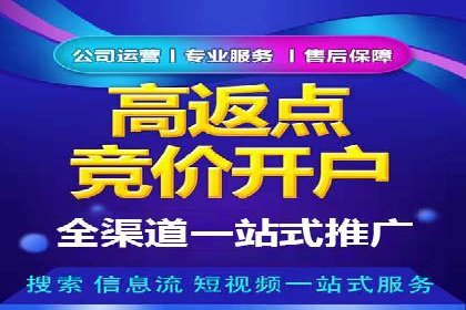 百度SEO推广公司成功案例：助力企业实现流量暴增